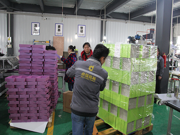 廠(chǎng)房工人在裝箱