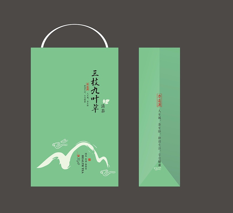 禮品盒外包裝手提袋